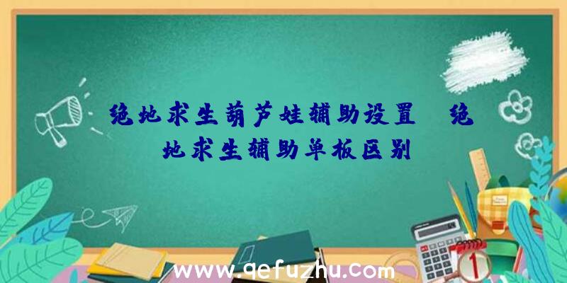 「绝地求生葫芦娃辅助设置」|绝地求生辅助单板区别